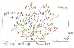 14 the possibilities of here