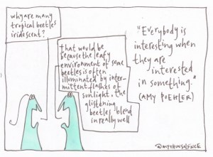 7 everybody is interesting