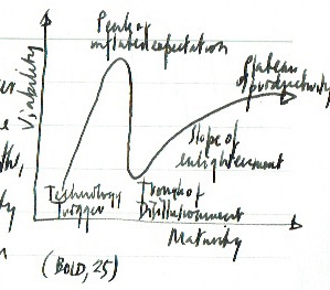 13 gartner hype cycle